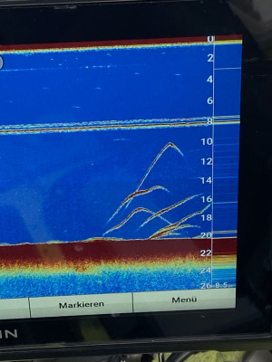 Echolot-Bild, da geht der Puls hoch.jpg