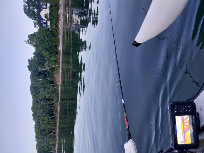 20240609_045318.jpg (3.96 MiB) 21642 mal betrachtet Schleppen vorbei an einer schönen Villa