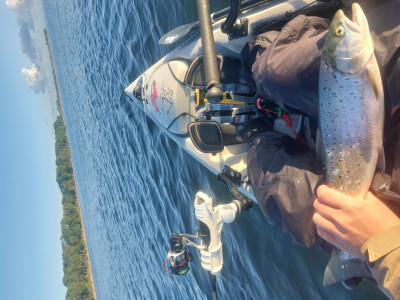 20240609_060415.jpg (4.76 MiB) 21642 mal betrachtet Die erhoffte Meerforelle