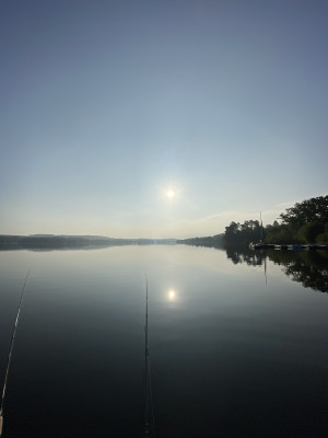 Früh morgens am Möhnesee aufwachende Natur.JPG
