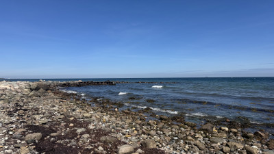 IMG_1132.jpeg