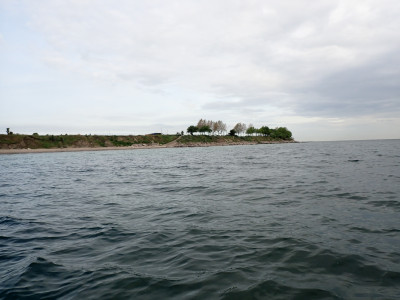 P5191322.JPG