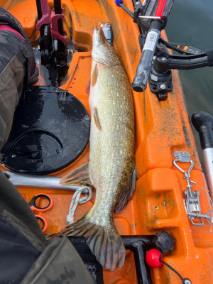 WhatsApp Bild 2025-06-09 um 10.22.16_94da279d.jpg