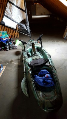 20160602_143652-480x853.jpg