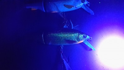20161109_165755.jpg
