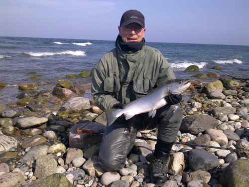 28032012170_1280x960.jpg (355.1 KiB) 11242 mal betrachtet 355 KB rund 2 Sek.