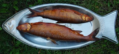 DSC_0026-1.JPG (355.35 KiB) 8166 mal betrachtet Lecker Renke aus dem Markkleeberger See...